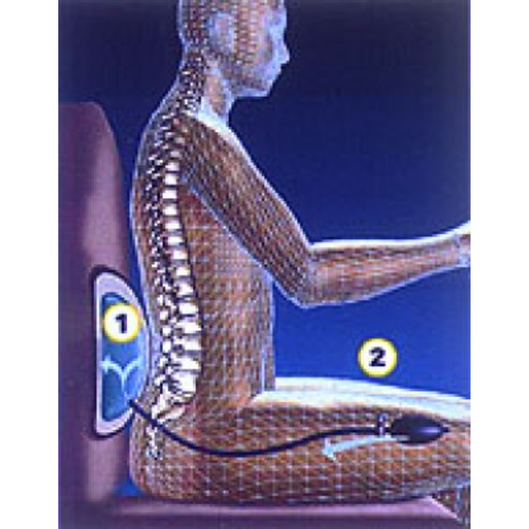 Lumbar Support — eSHOP.AERO