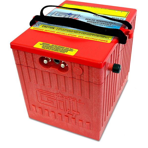 Gill LT Series Battery 7639-34 Sealed