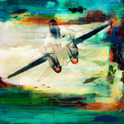 Martin Young ART THE Grumman F-14 Tomcat Print 20X20