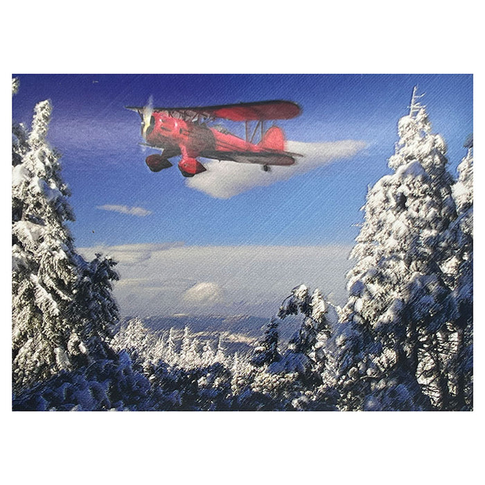 RED Biplane Winter Greeting Cards BOX OF 12