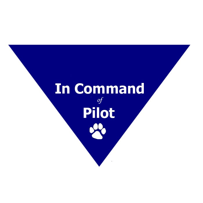 IN Command OF Pilot Bandana BA748/S Small