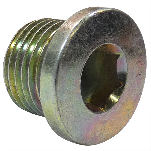 Rotax 240-234 Plug Screw M16X15