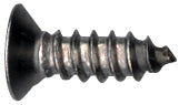 C6X8 6X1/2-A-FL-PH SS Screw