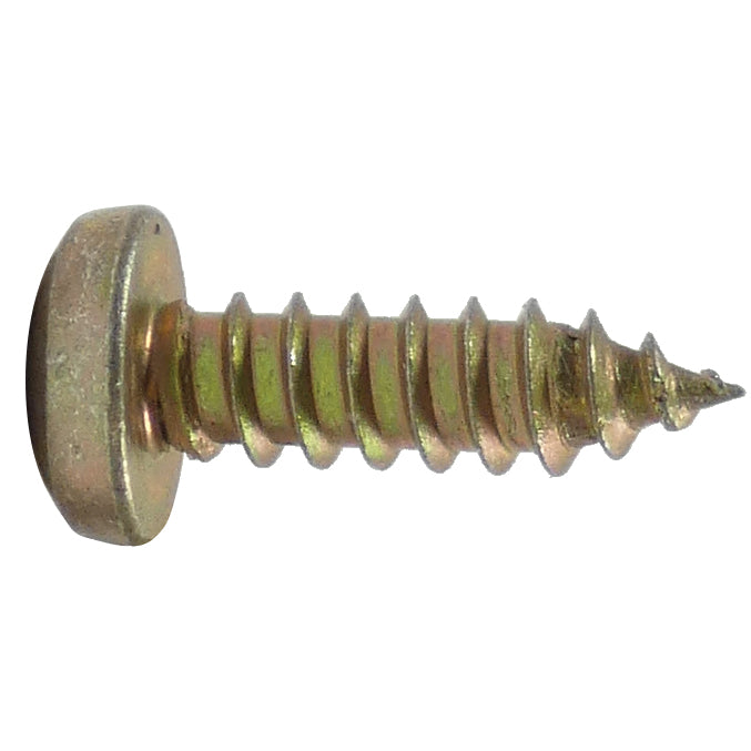 #10 1 Tapping Screw