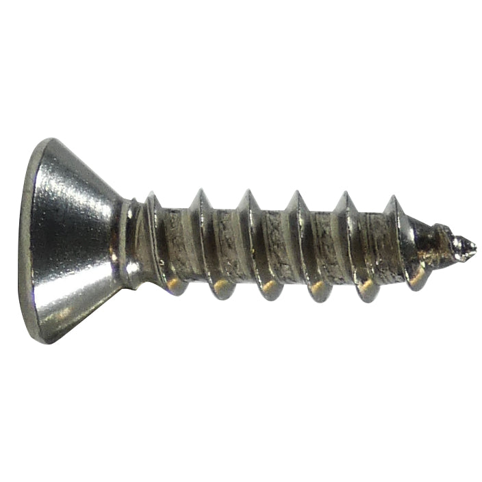 6X3/4-A-OV-PH-SS Oval SS Screw